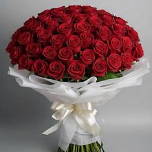 Букет 101 Красная роза Блэк Мэджик в Цагане Амане