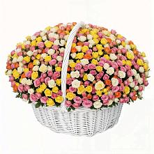 Премиум букет из: Розы в Цагане Амане