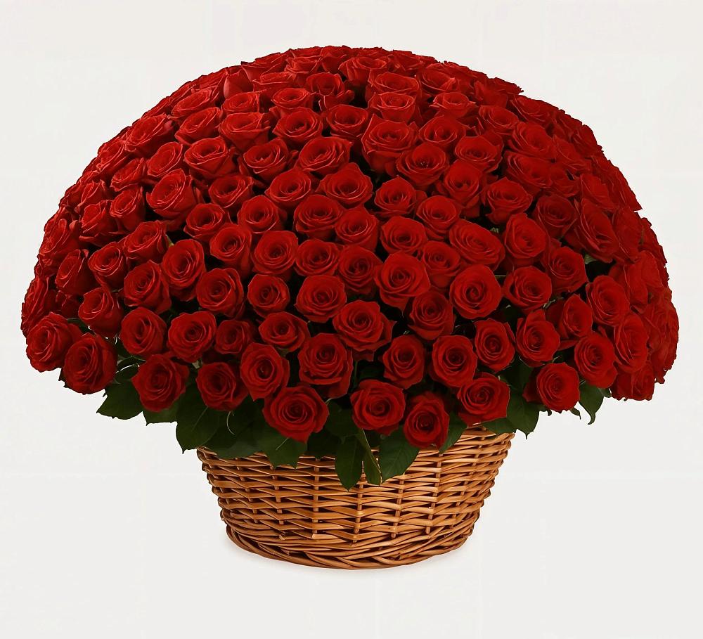 Премиум букет из: Розы в Цагане Амане