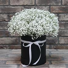 Цветочная композиция из Гипсофила в шляпной коробке в Цагане Амане