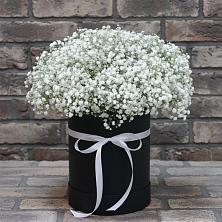 Цветочная композиция из Гипсофила в шляпной коробке в Цагане Амане